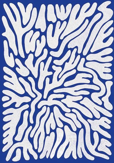 WACi Beach — Blue Coral